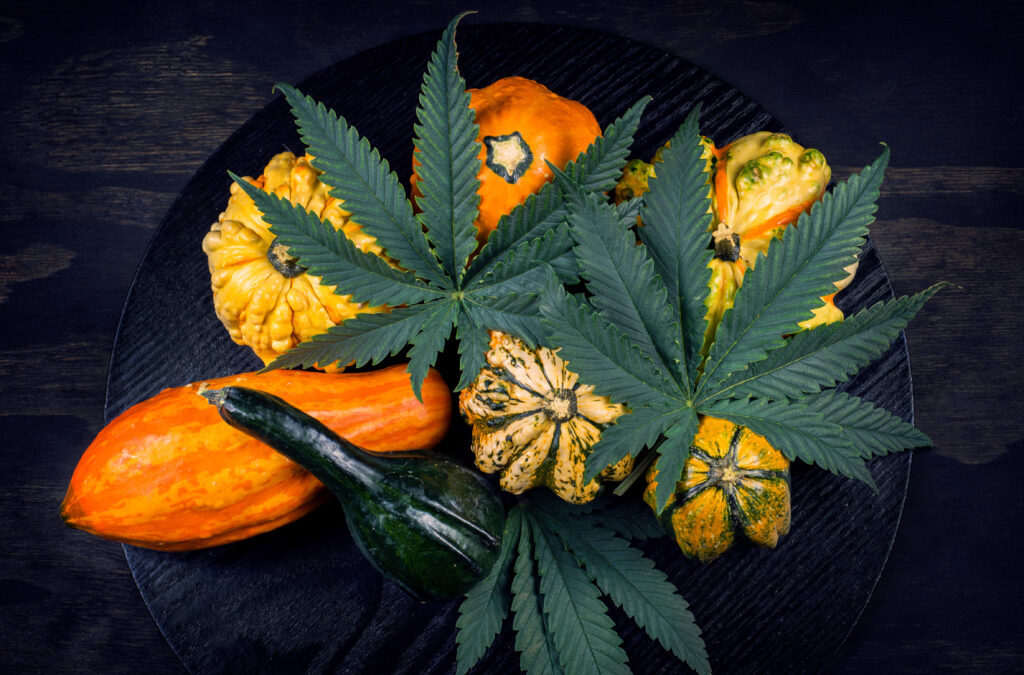 From the Editor: Fall into five years of legal cannabis