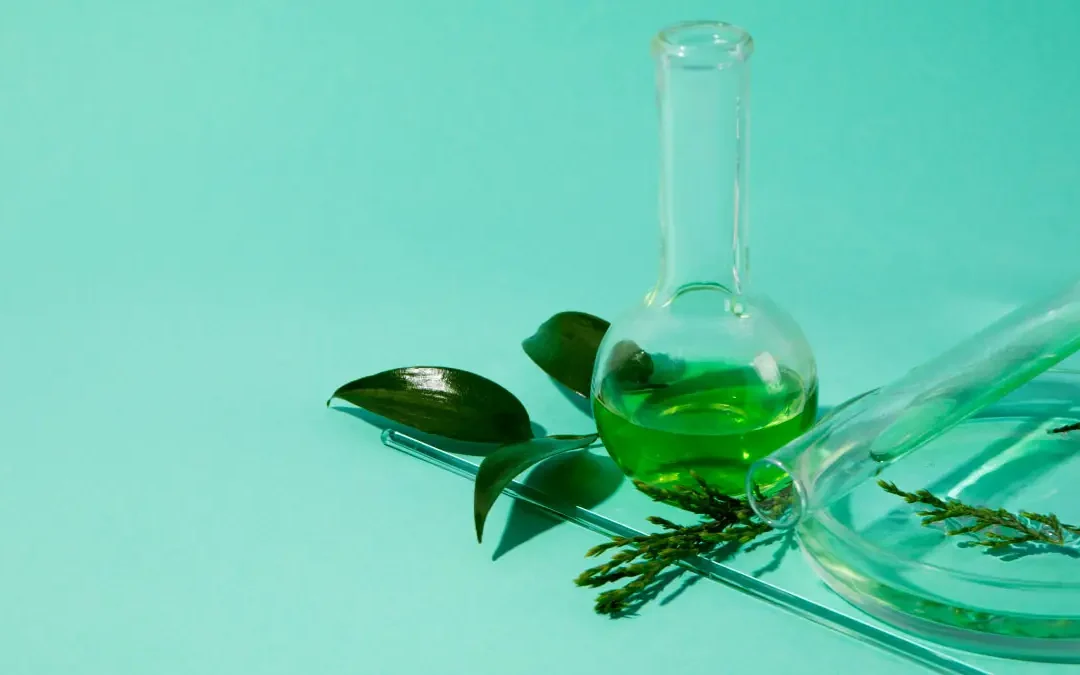 Asparagus Officinalis L. : extraction and phytochemical composition