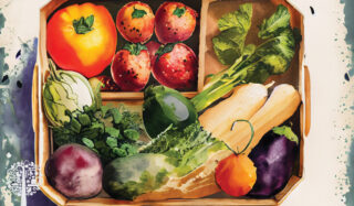 An assortment of vegetables available in a CSA