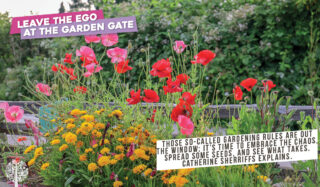 Credit: Stephanie Rose, Garden Therapy