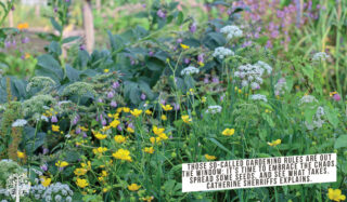 Thos so-called gardening rules are out the door!