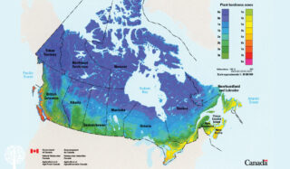 what is my hardiness zone