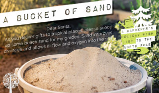 sustainable gift idea number four: Sand improves drainage and allows airflow and oxygen into the soil.