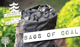 sustainable gift idea number five: bags of coal, biochar