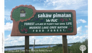 Fresh produce in Muskeg Lake Cree, Saskatchewan