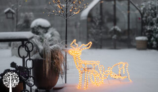 Reindeer adds whimsy in the garden