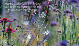 Keep track of bloom cycles.