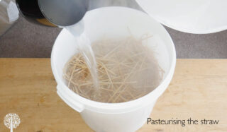 pasteurizing straw