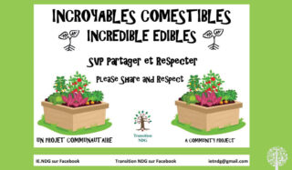 community gardening