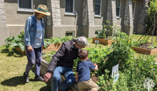 Attention All Urban Gardeners: Why Incredible Edibles Is Where It’s At