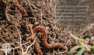 Soil is also crucial in improving the world around us – growing food, sequestering carbon, cleaning water, and lifting people out of poverty.