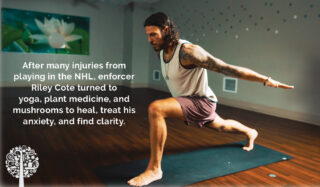 After many injuries from playing in the NHL, enforcer Riley Cote turned to yoga, plant medicine, and mushrooms to heal, treat his anxiety, and find clarity.
