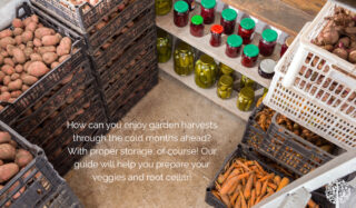 Long-Term Storage Solutions For Your Vegetable Harvest