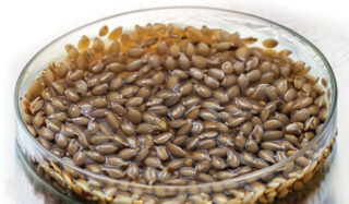 Moisture can awaken dormant seeds