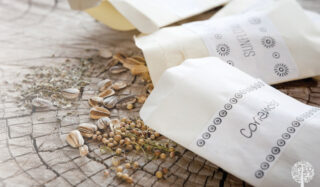 Choose the correct seeds