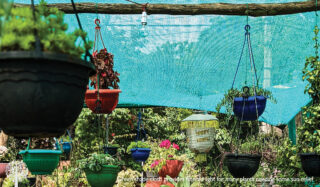 colour of shade cloth