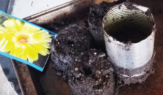 Soil blocks need no plastic