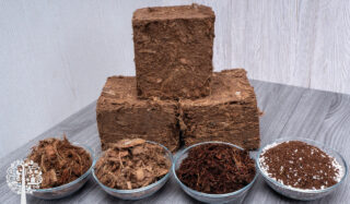 Assortment of coco coir and peat moss.