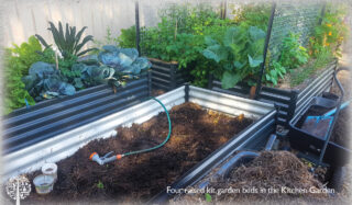 A Guide To Terrace Gardening