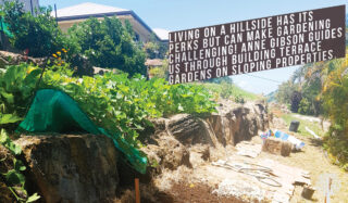 Hillside gardening