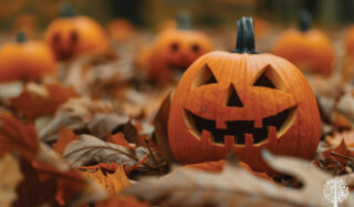 Sustainable Halloween Decorating Ideas