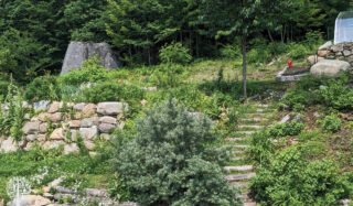 Food Forest in the Laurentian Mountains: Wild Orchard Gardens