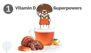 5 Cool Ways Mushrooms Help Boost Human Health