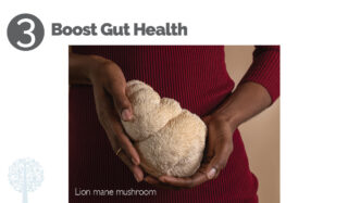 mushrooms boost gut health