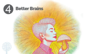 boost brain power