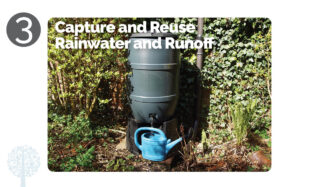 Capture and Reuse Rainwater and Runoff