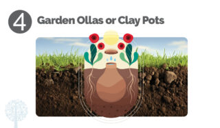 Garden Ollas or Clay Pots