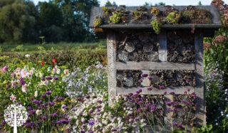 Insect hotel in a field of colourful flowers.