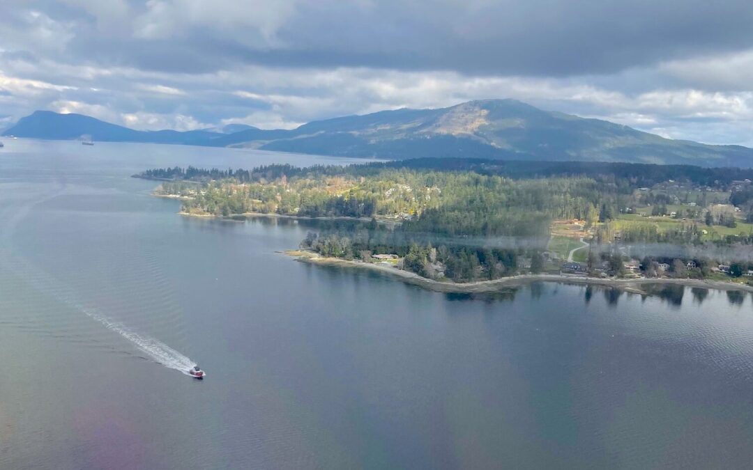 Behind the counter: my experience budtending on Vancouver Island