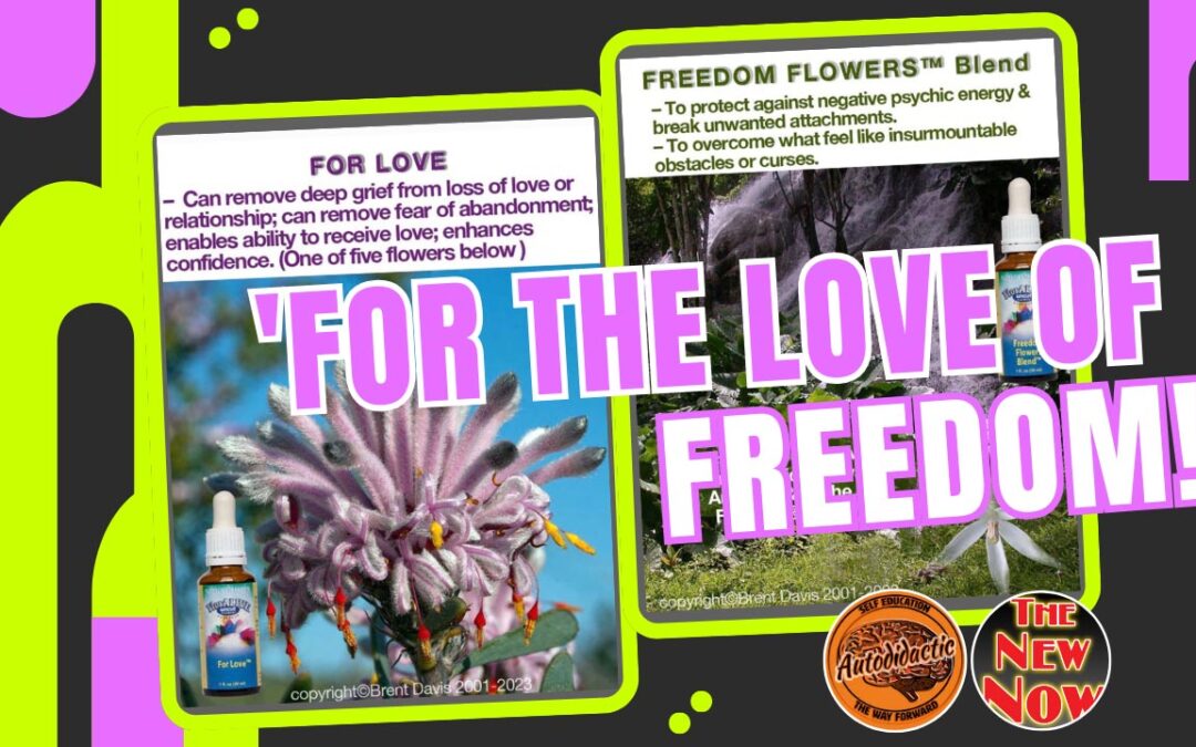 How to Navigate Our Low-Trust, Increasingly Dysfunctional Society and Economy