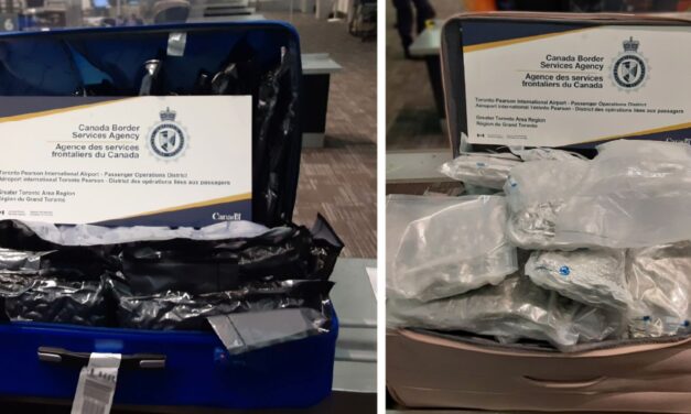 CBSA again seize large quantity of cannabis destined for UK