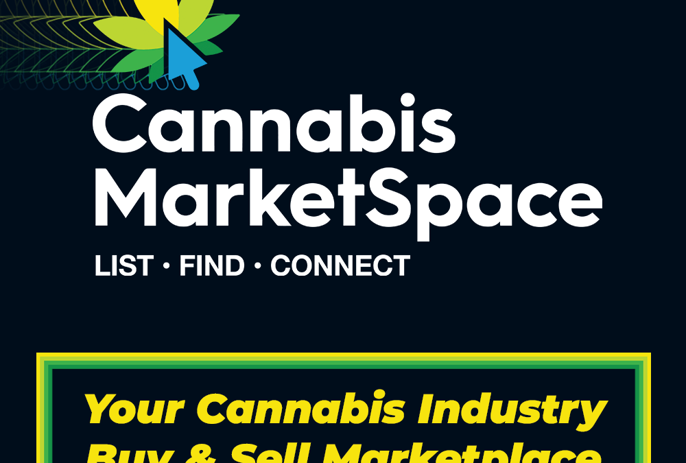 OPP provincial enforcement team again raids unlicensed cannabis store in London