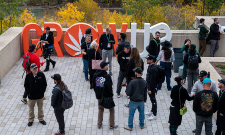 Calgary Voted Yes To On-Site Cannabis Sales at Events