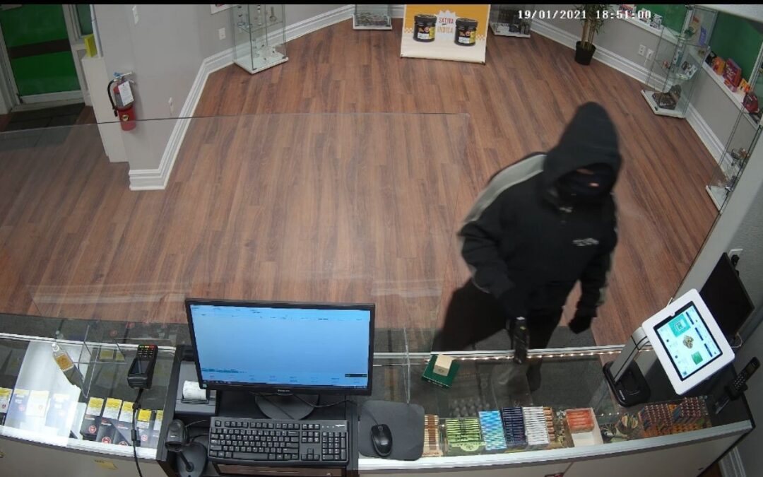 Calgary Police identify suspects in string of cannabis store robberies