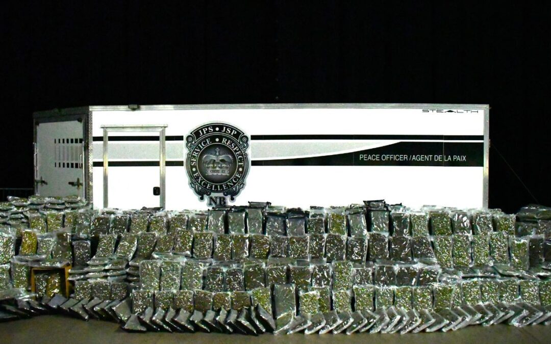 Law enforcement in Quebec, NB seize hundreds of kg of cannabis