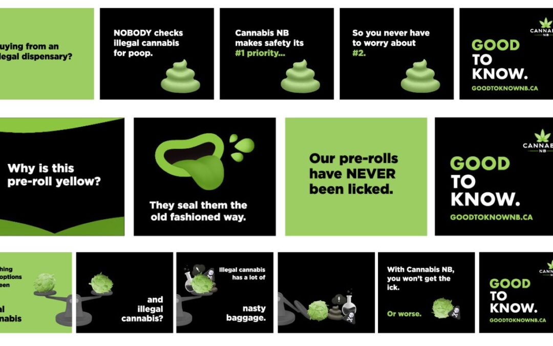 Cannabis NB launches Good To Know cannabis awareness campaign