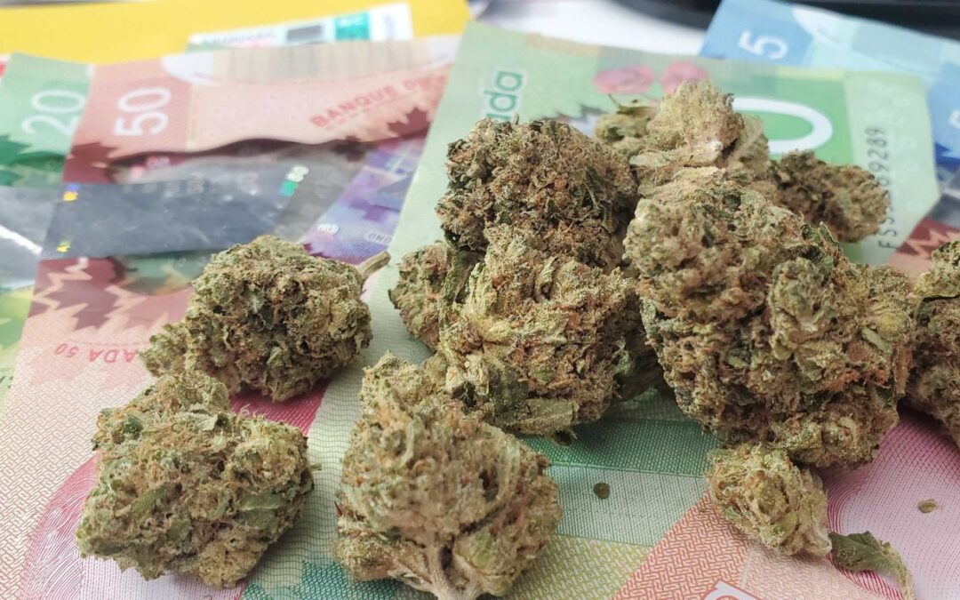 Two of every five dollars spent on legal cannabis in Canada went to government coffers