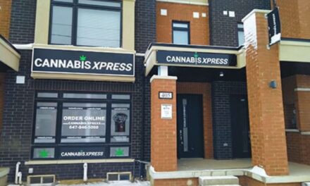 Ontario cannabis retailer fined $100,000 for illegal “data deals”