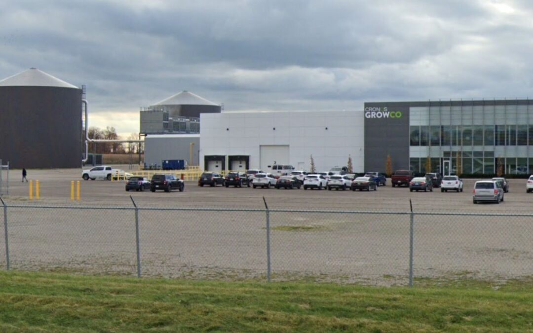 Cronos reports increased cannabis sales in Canada, abroad