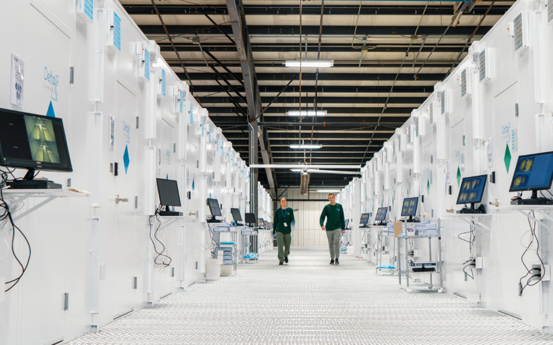 Delta 9 selects bid from SISP