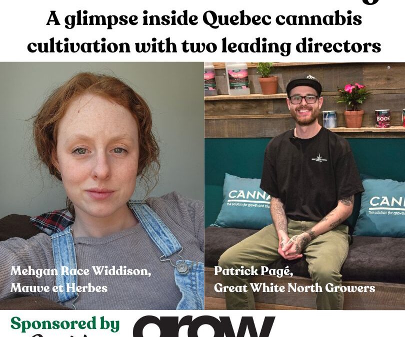 The Grower’s Journey: A glimpse inside Quebec cannabis cultivation with two leading directors