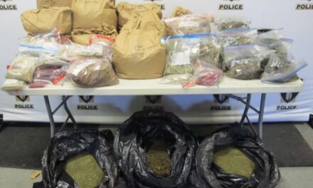 Police in Quebec seize hash, cannabis, kief in record raid