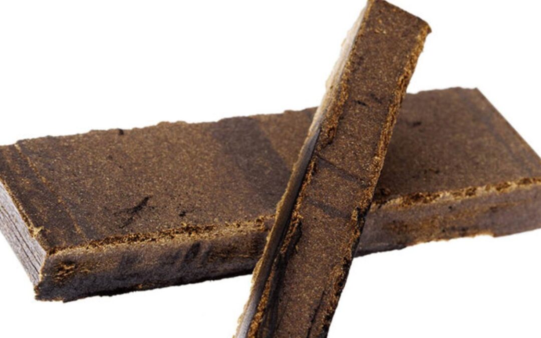 Police shut down illegal hash processing lab in Quebec