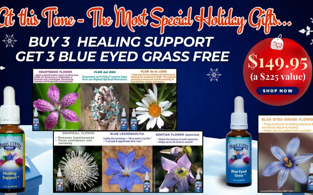 From Shadow Work to Soul Craft