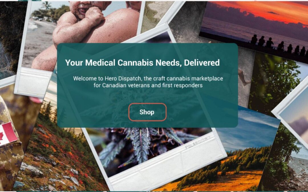 Herbal Dispatch sees year-over-year growth driven by increased domestic sales, exports