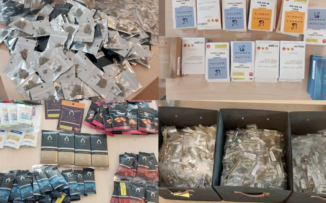Kingston police seize large quantity of cannabis from unlicensed store